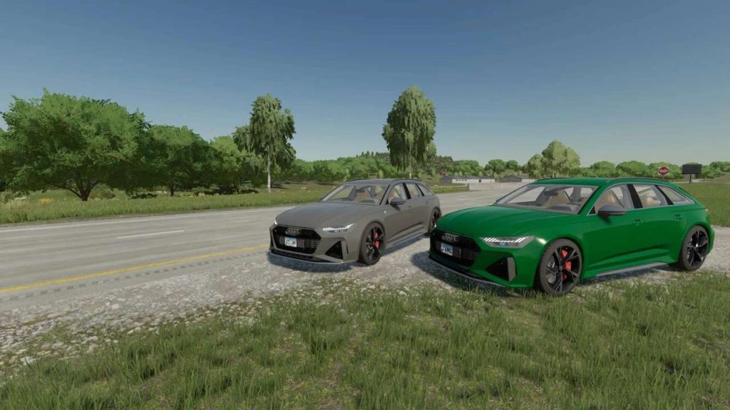 Audi Rs Avant C V Fs Mod Farming Simulator Mod Images And