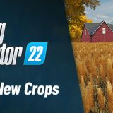 New Crops in Farming Simulator 22: Grapes, Olives and Sorghum