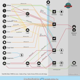 Farming Simulator 22 Production Chains Map | Production lines