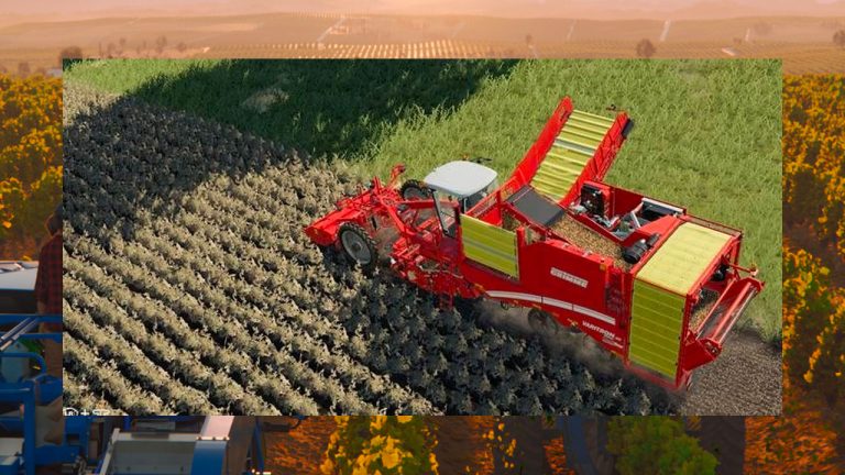 The second method: harvest potatoes by using a self-propelled combine harve...
