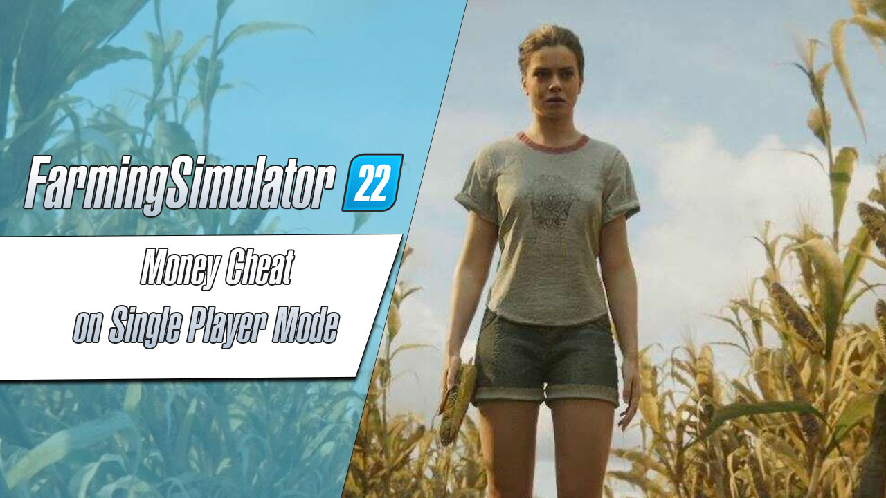 Mod - Farming Simulator 22: cheat on player mode•