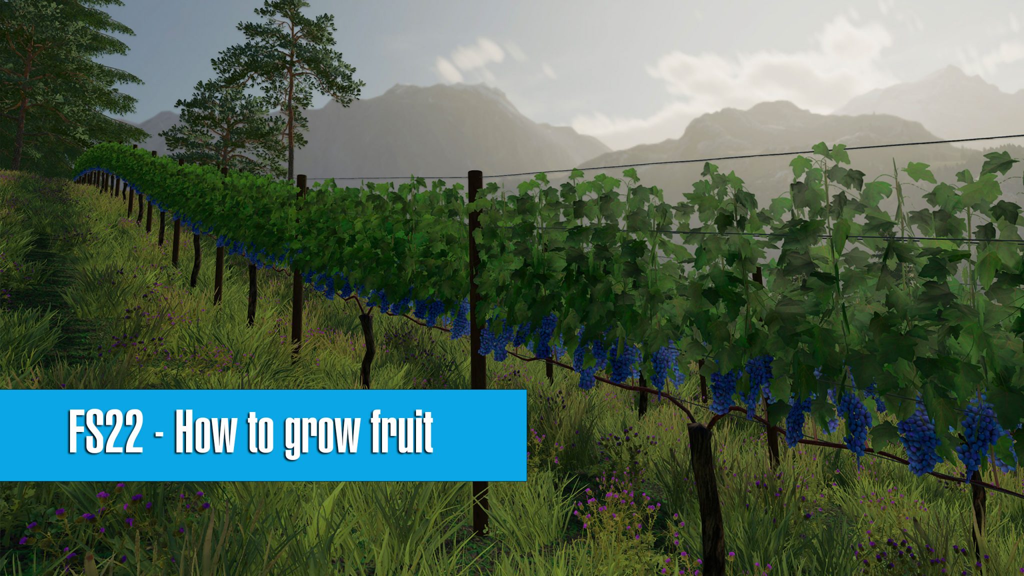 Farming Simulator 22 How to grow fruit FS22 Growing Grapes