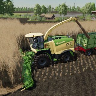 Krone X-Collect 900-3 Poplar And Sugarcane v1.0.0.2 FS22 Mod | Farming ...