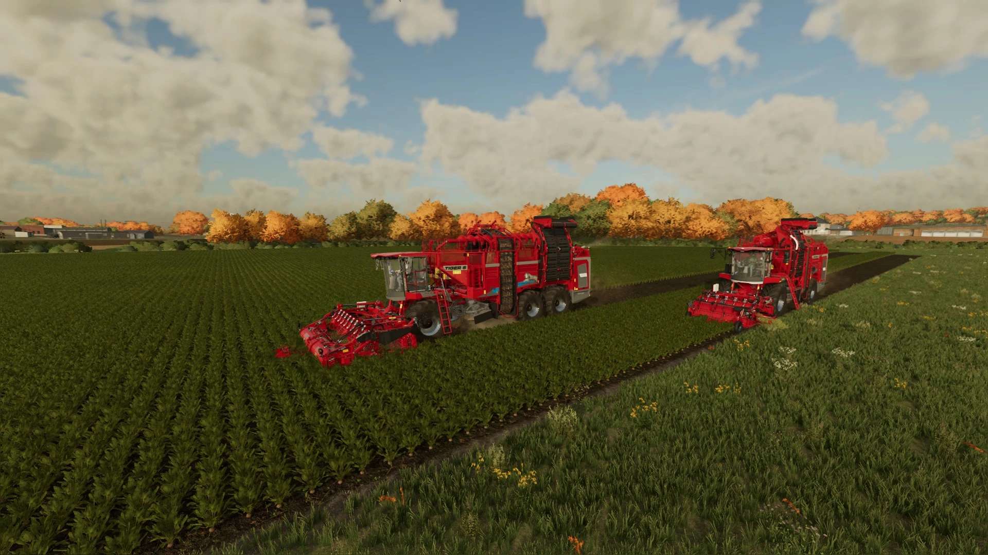 Twin Row Crops Mods Fs22 Mods Farming Simulator 22 Mo 7839
