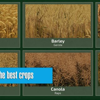 What is the best crop for making money in Farming Simulator 22