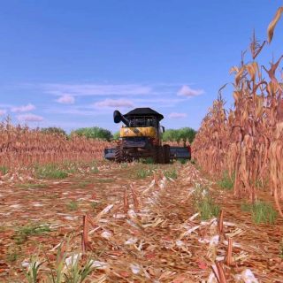 New corn texture with more real effects v1.0 FS22 - Farming Simulator ...