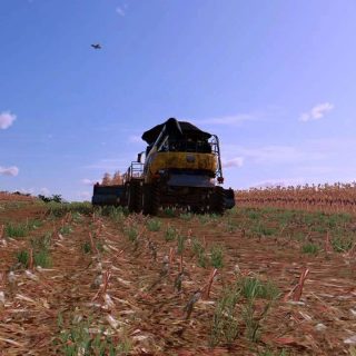 New corn texture with more real effects v1.0 FS22 - Farming Simulator ...