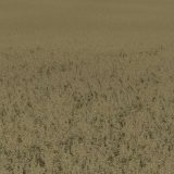 Oat Texture v1.0 FS22 Mod | Farming Simulator 22 Mod