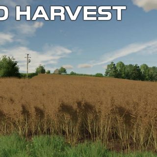 Osr Canola Crop Textures V Fs Mod Farming Simulator Mod