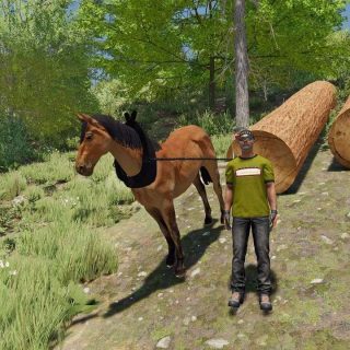 Horse for forestry v1.0 FS22 - Farming Simulator 22 Mod | FS22 mod