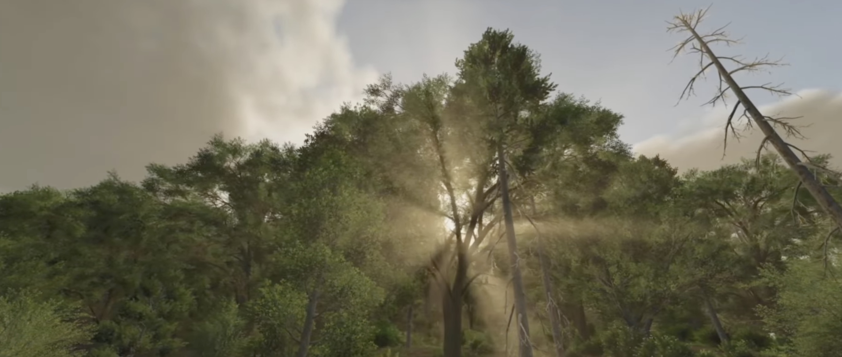Effects & Weather in Farming Simulator 25 thumbnail 5